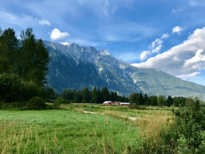 Screen Shot 2018-11-25 at 11.05.44 AM